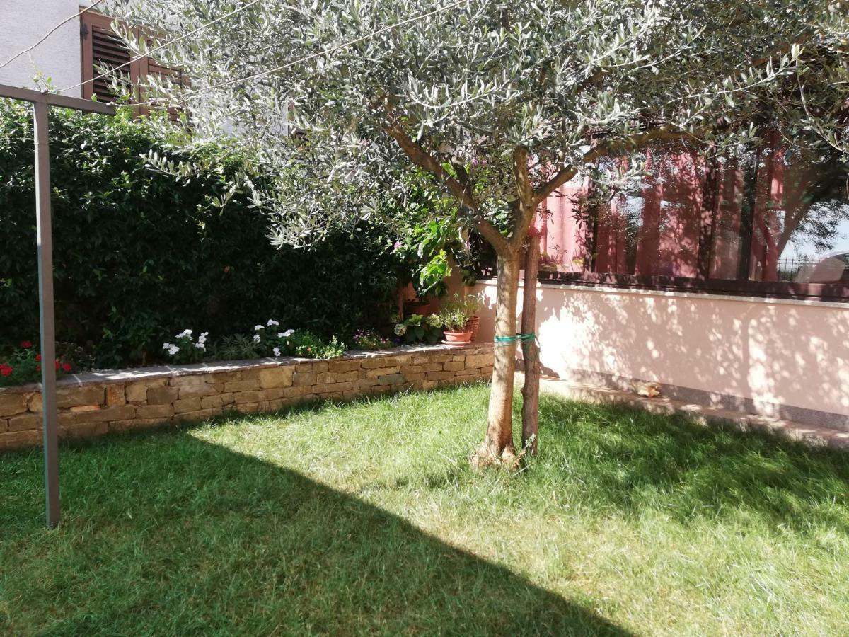 Apartments Merlin Novigrad  Екстер'єр фото