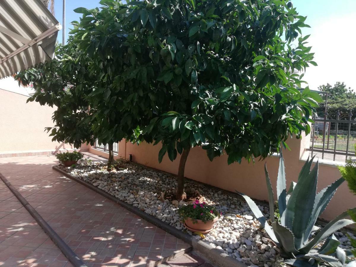 Apartments Merlin Novigrad  Екстер'єр фото