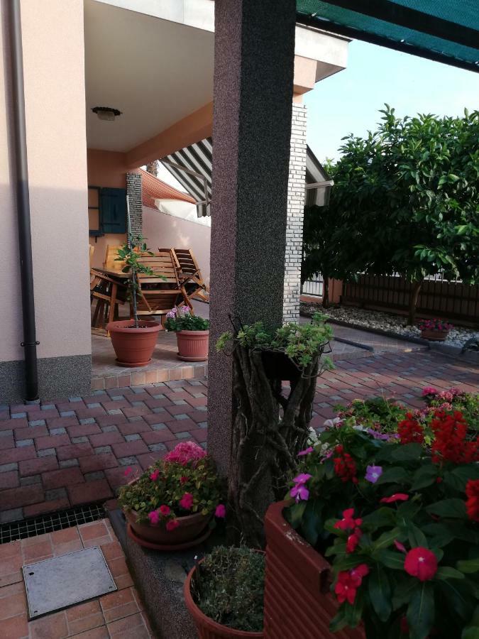 Apartments Merlin Novigrad  Екстер'єр фото